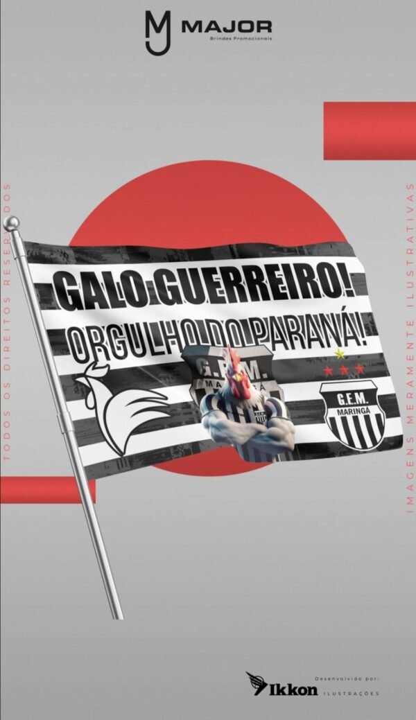 Bandeira Oficial